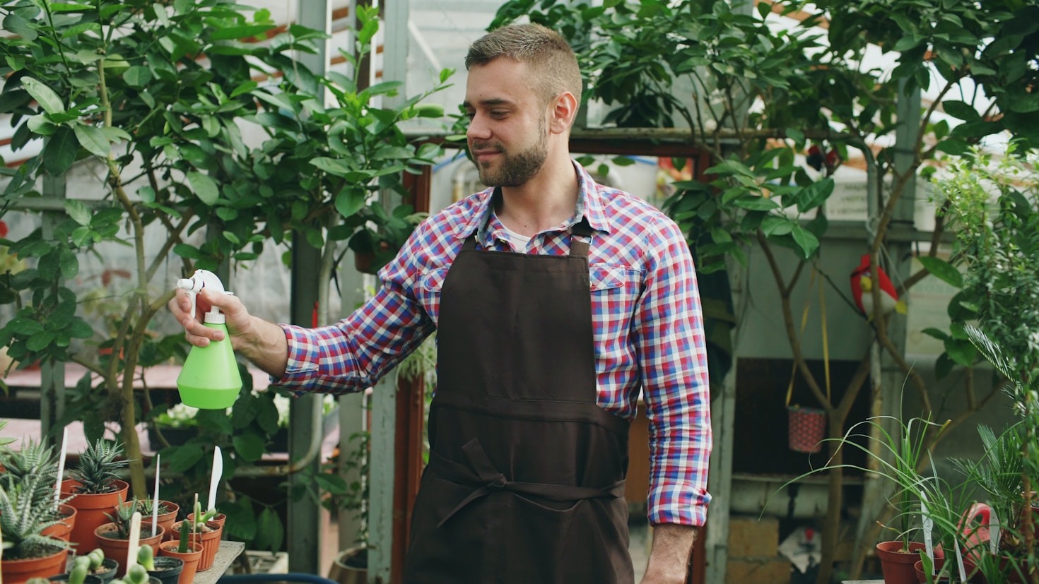 The Ultimate Guide To Watering Your Greenery
